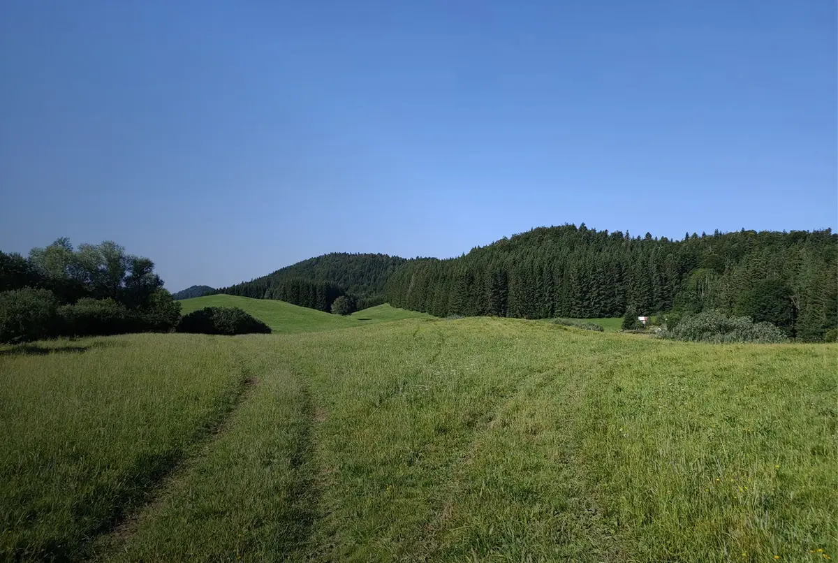 PLATEAU DU LIZON